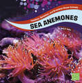 Sea Anemones (Faceless, Spineless, And Brainless Ocean Animals Ser.)