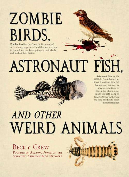 Book cover of Zombie Birds, Astronaut Fish, and Other Weird Animals