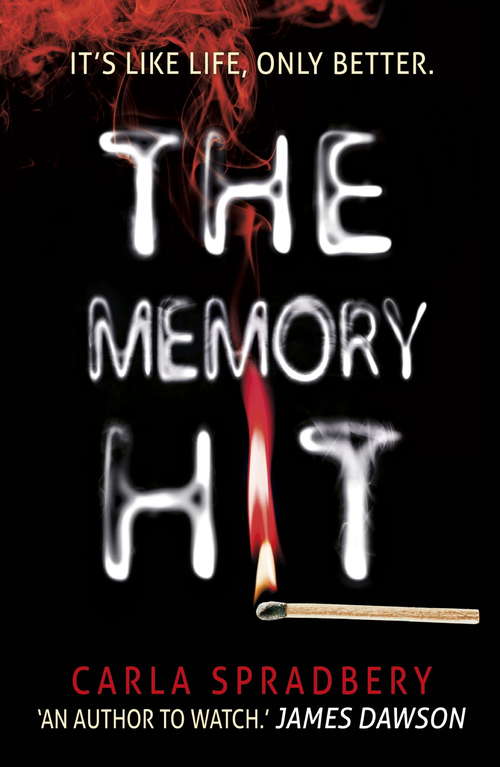 Book cover of The Memory Hit