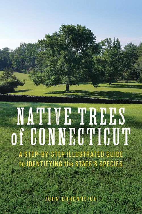 Book cover of Native Trees of Connecticut: A Step-by-Step Illustrated Guide to Identifying the State's Species