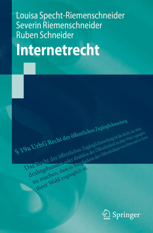 Internetrecht (Springer-Lehrbuch)