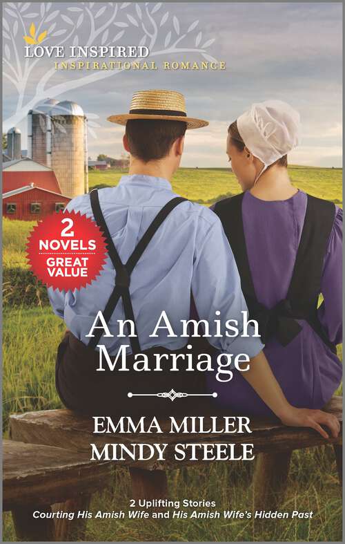 Book cover of An Amish Marriage
