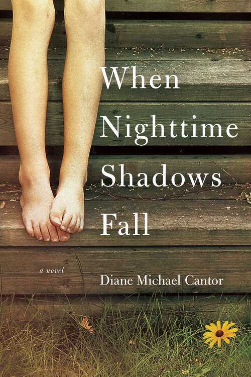 Book cover of When Nighttime Shadows Fall: A Novel