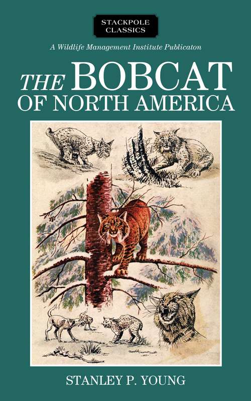 Book cover of Bobcat of North America (Wildlife Management Institute Classics)