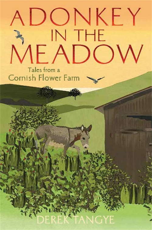 Book cover of A Donkey in the Meadow: Tales from a Cornish Flower Farm (Minack Chronicles #6)