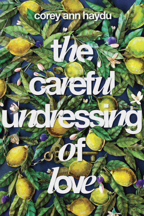 Book cover of The Careful Undressing of Love