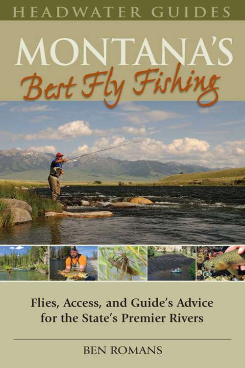 Book cover of Montana's Best Fly Fishing