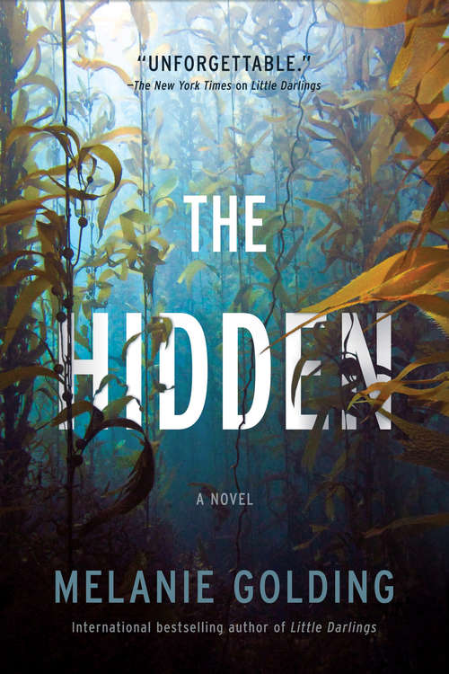 Book cover of The Hidden: A Novel