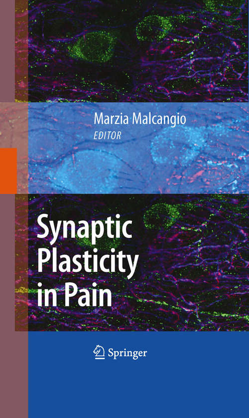 Book cover of Synaptic Plasticity in Pain