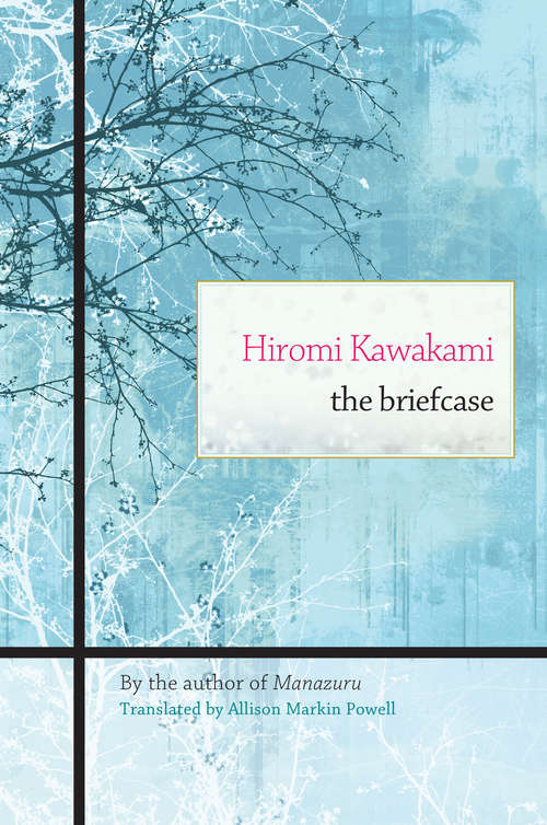 Book cover of The Briefcase