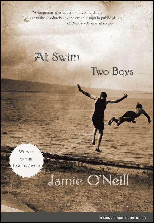 Book cover of At Swim, Two Boys