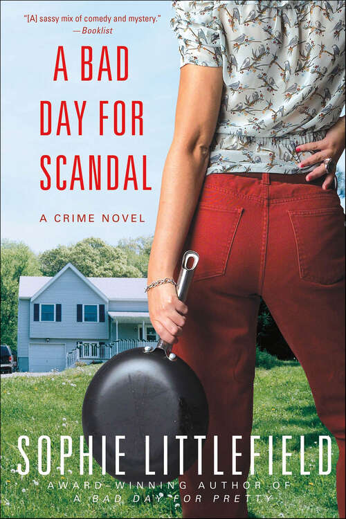 Book cover of A Bad Day for Scandal: A Crime Novel (Stella Hardesty Crime Series #3)