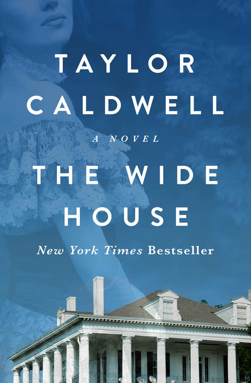 Book cover of The Wide House: A Novel