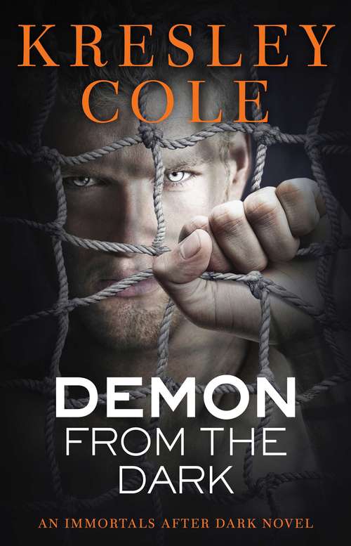 Book cover of Demon from the Dark
