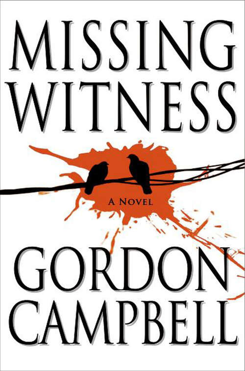 Book cover of Missing Witness