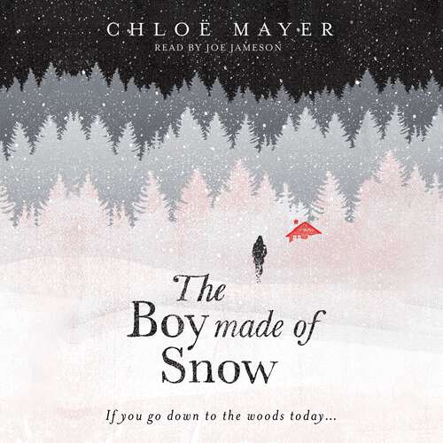 Book cover of The Boy Made of Snow