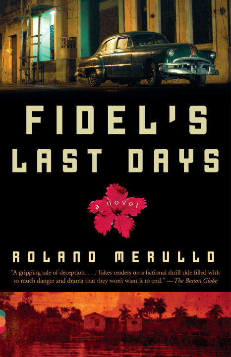 Book cover of Fidel's Last Days
