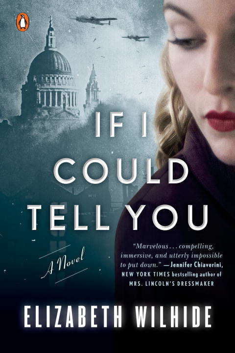 Book cover of If I Could Tell You: A Novel