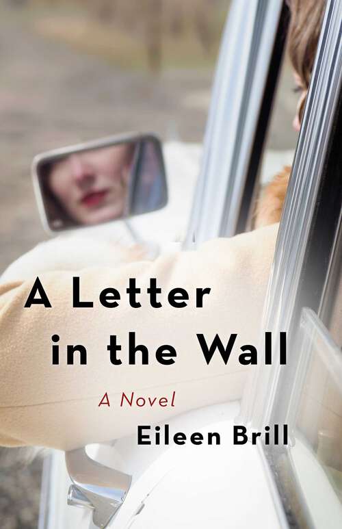 Book cover of  A Letter in the Wall: A  Novel