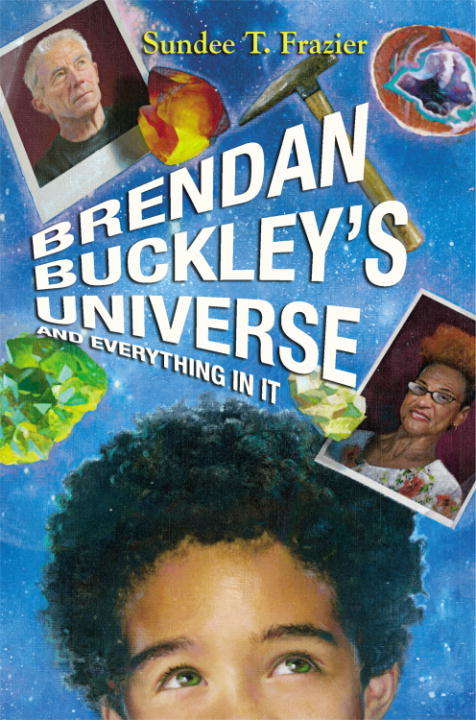 Book cover of Brendan Buckley's Universe and Everything in It