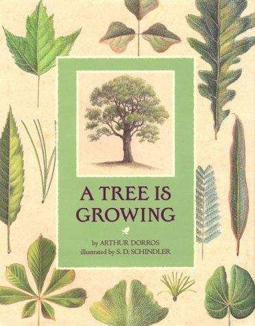 Book cover of A Tree Is Growing