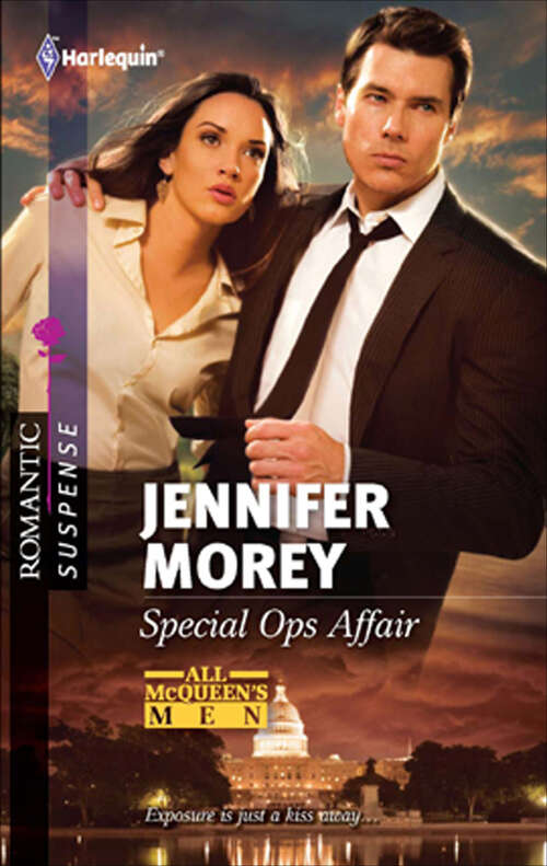 Book cover of Special Ops Affair