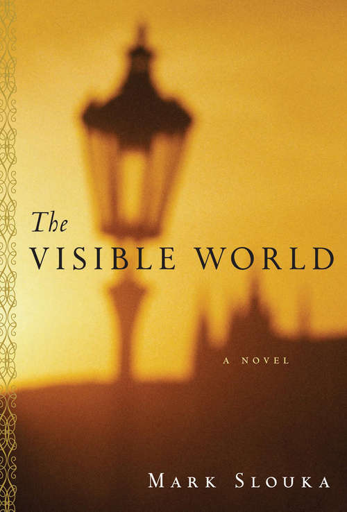 Book cover of The Visible World: A Novel