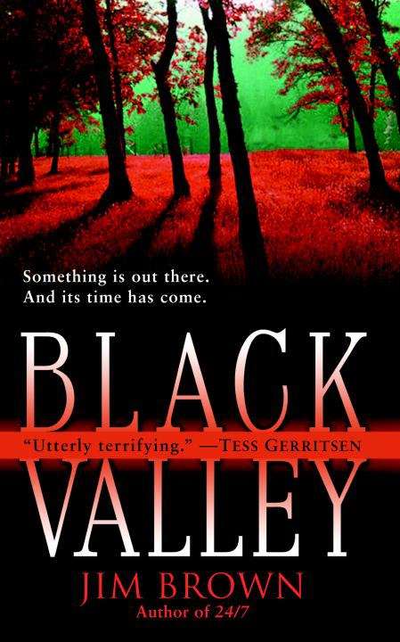 Book cover of Black Valley