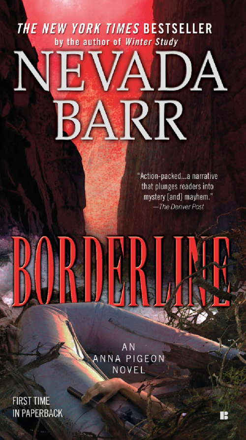Borderline: A thrilling mystery of the Texan desert (Anna Pigeon Mysteries #15)