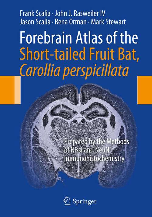 Book cover of Forebrain Atlas of the Short-tailed Fruit Bat, Carollia perspicillata