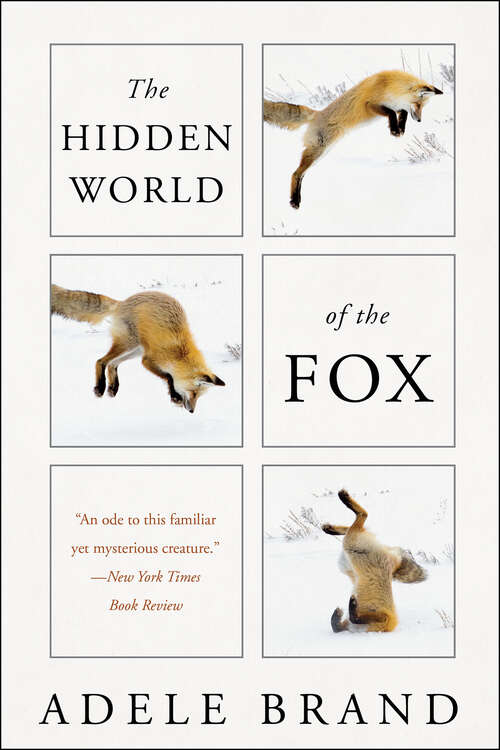 Book cover of The Hidden World of the Fox