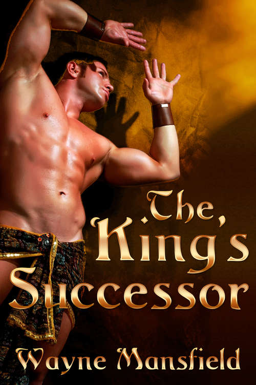 Book cover of The King's Successor (The King's Consort Ser. #4)