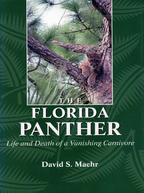 Book cover of The Florida Panther: Life And Death Of A Vanishing Carnivore