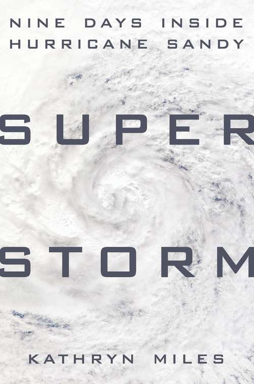 Book cover of Superstorm