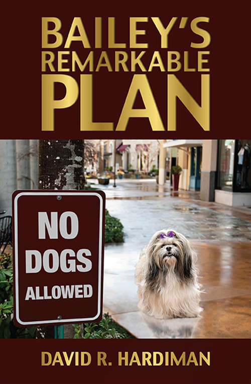 Book cover of Bailey's Remarkable Plan