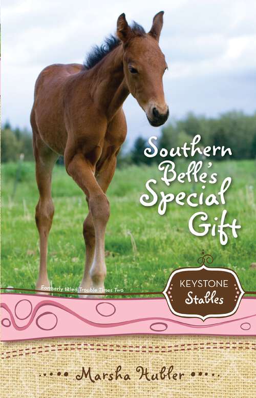 Book cover of Southern Belle's Special Gift (Keystone Stables)