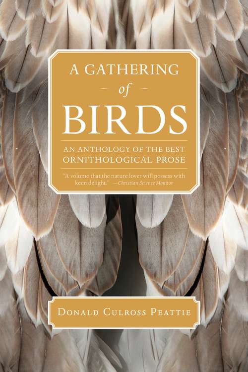 Book cover of A Gathering of Birds