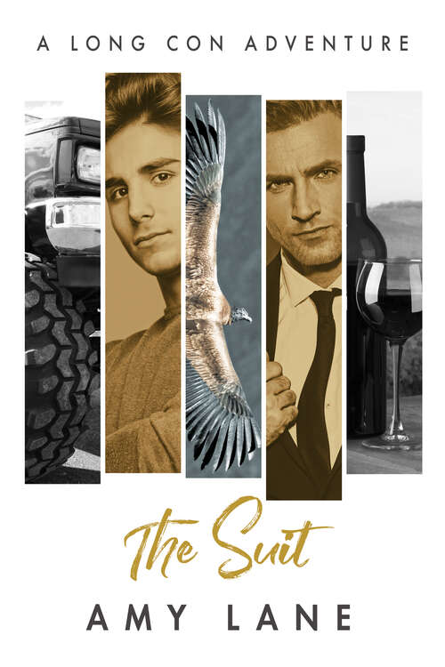 Book cover of The Suit (Long Con Adventures #4)