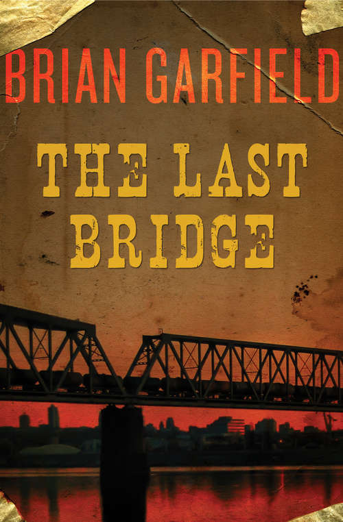 Book cover of The Last Bridge