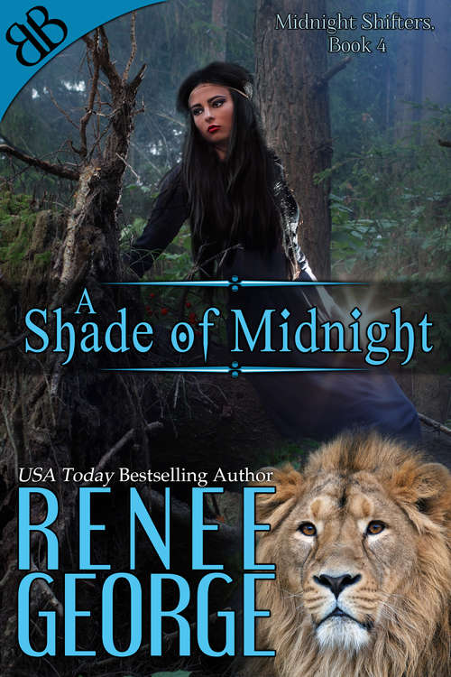 Book cover of A Shade of Midnight