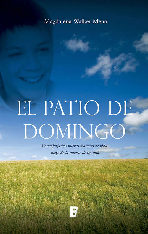 Book cover of El patio de domingo