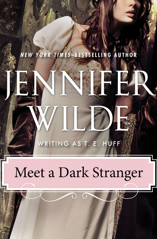 Book cover of Meet a Dark Stranger