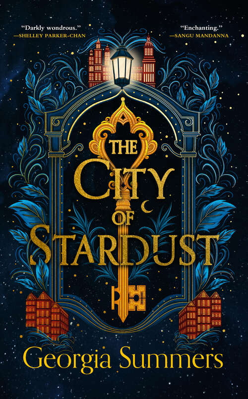 Book cover of The City of Stardust