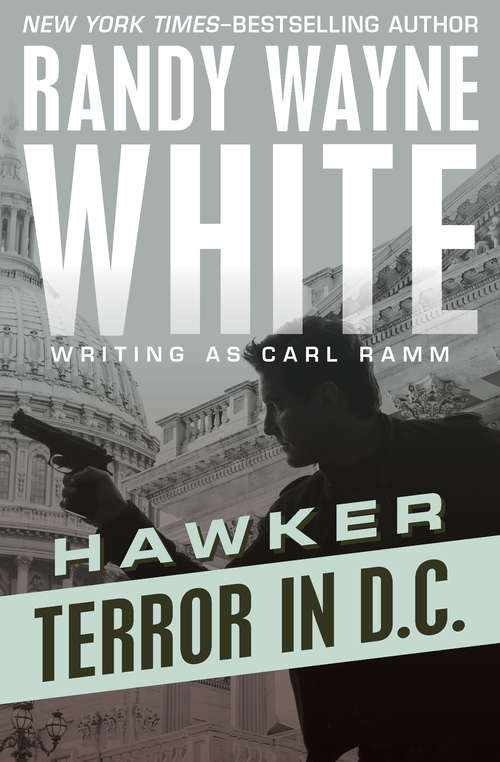 Book cover of Terror in D.C.