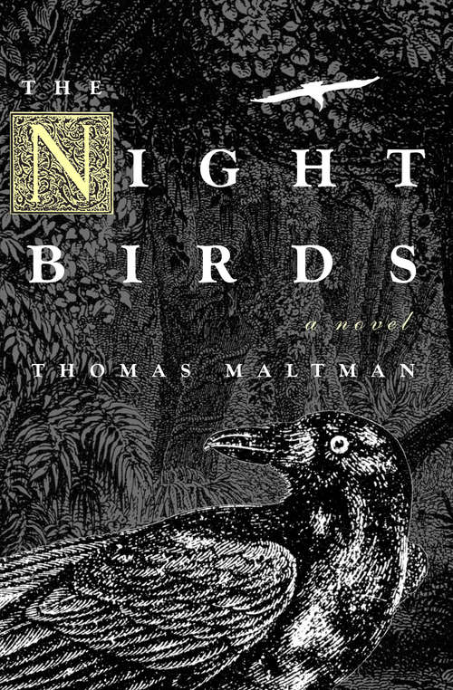 Book cover of Night Birds