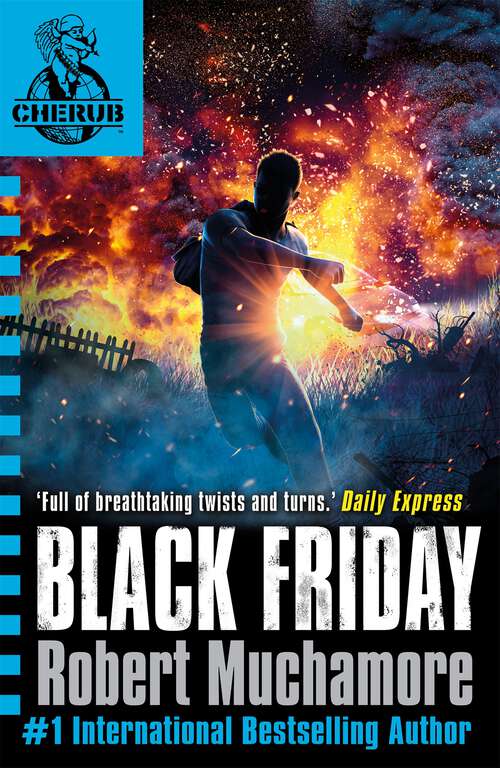 Book cover of Black Friday: Book 15