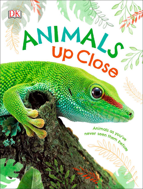 Book cover of Animals Up Close: Animals as you've Never Seen them Before (DK Look Closer)