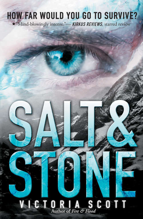 Book cover of Salt & Stone (Fire And Flood Ser. #2)