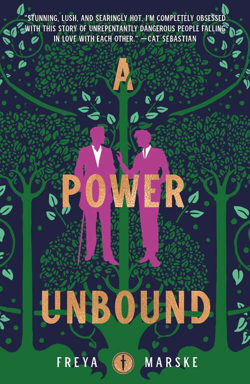 Book cover of A Power Unbound (The Last Binding #3)