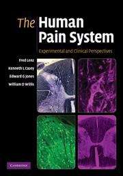 The Human Pain System
